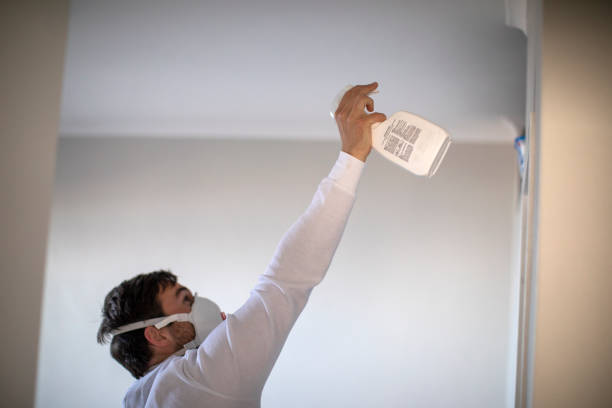 Best Preventive Mold Services in Peabody, KS